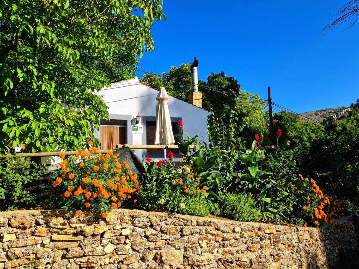 Casas Rurales Los Enebros Nerpio Exterior photo